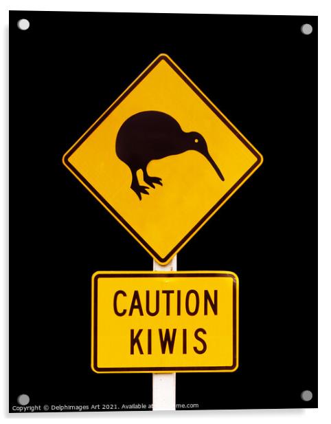 Caution kiwis, New Zealand road sign Acrylic by Delphimages Art