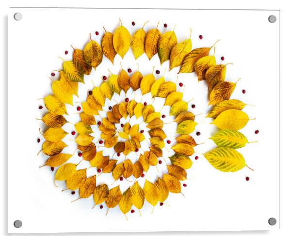 Autumnal leaves spiral abstract installation Acrylic by Delphimages Art