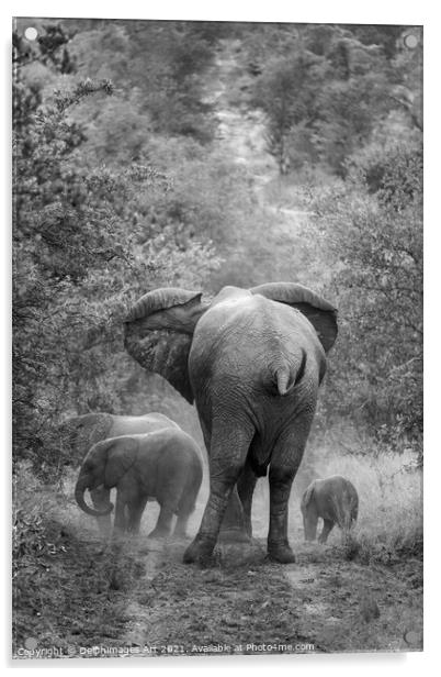 Family of elephants, mother and her cubs Acrylic by Delphimages Art