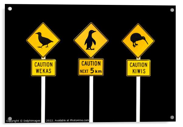 New Zealand road signs Acrylic by Delphimages Art