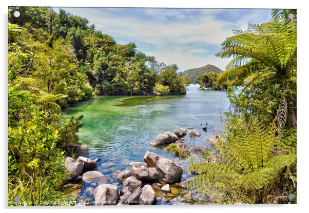 New Zealand Abel Tasman landscape Acrylic by Delphimages Art
