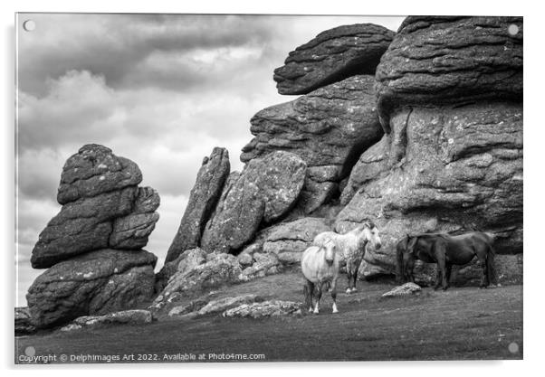 Outdoor stonerock Acrylic by Delphimages Art