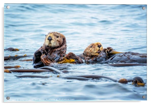 Sea otters in the ocean Acrylic by Delphimages Art