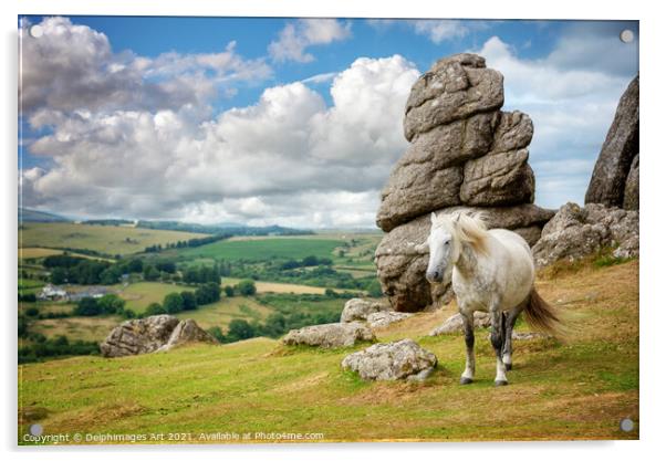 Dartmoor landscape with a white pony, Devon Acrylic by Delphimages Art