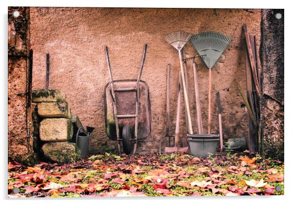 Rustic garden tools against a wall in autumn Acrylic by Delphimages Art