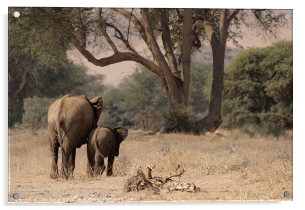 Desert Elephants in Namibia Acrylic by Dirk Rüter
