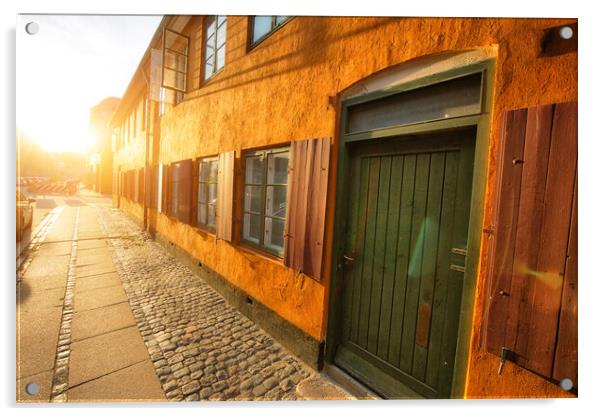 Copenhagen, scenic historic old city streets Acrylic by Elijah Lovkoff