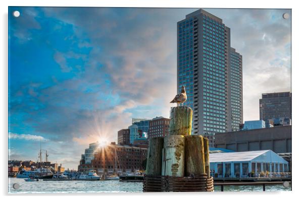 Scenic Boston Harbor and city views Acrylic by Elijah Lovkoff
