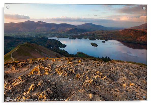 A View From Cat Bells Acrylic by Nigel Wilkins