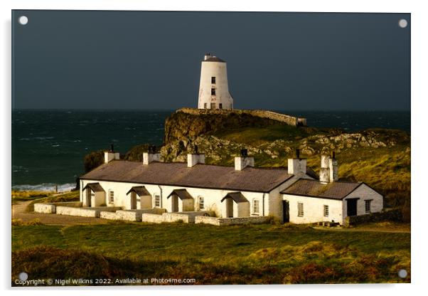 Twr Mawr Lighthouse and Pilots Cottages, Anglesey Acrylic by Nigel Wilkins