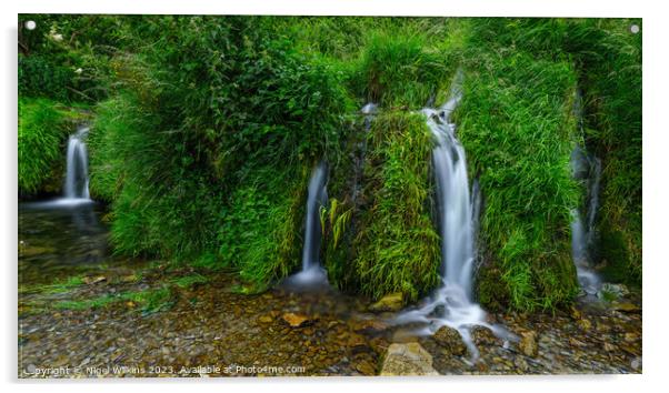 River Lathkill Waterfall Acrylic by Nigel Wilkins