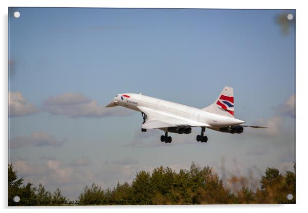 Concorde Landing Acrylic by Nigel Wilkins