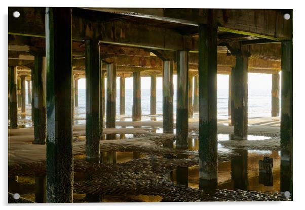 Reflections under the pier Acrylic by Geoff Taylor