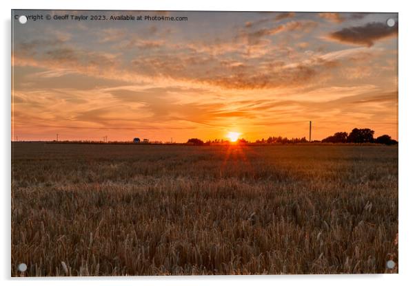 Golden sunset Acrylic by Geoff Taylor