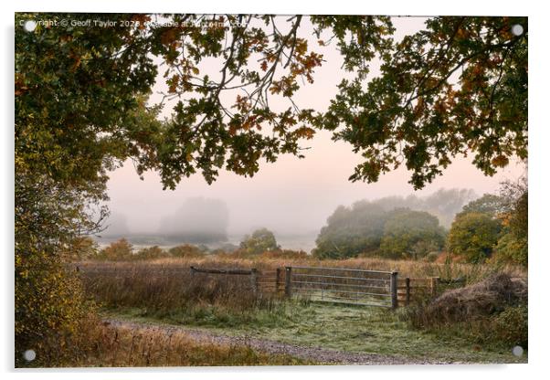 Misty morning Acrylic by Geoff Taylor