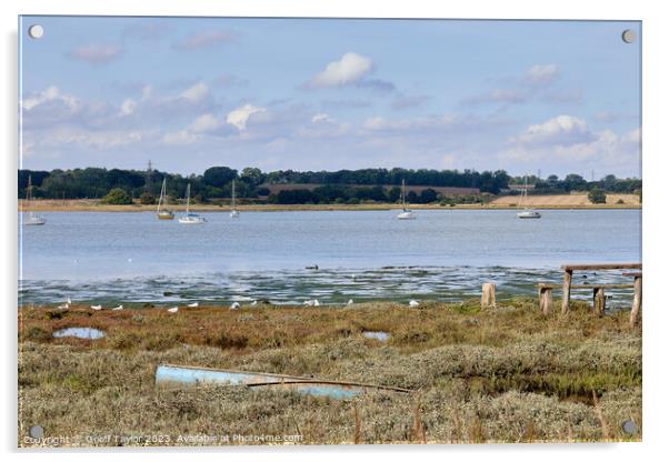 River stour from Mistley Walls Acrylic by Geoff Taylor