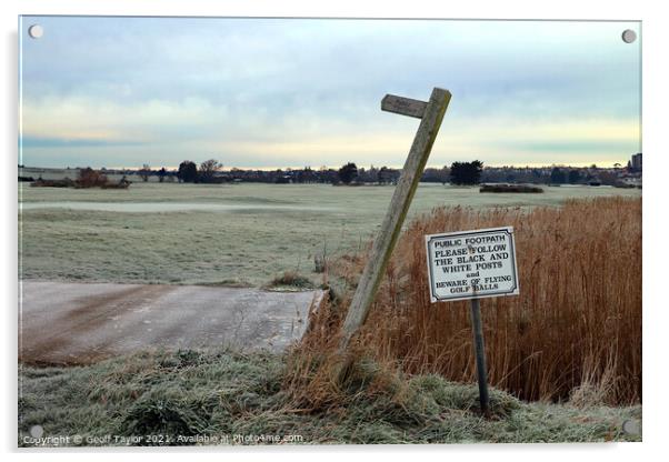 Beware of the golf balls Acrylic by Geoff Taylor