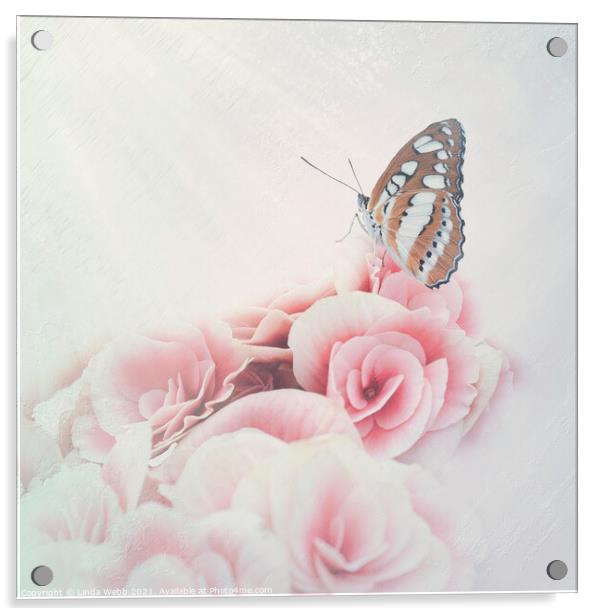 Butterfly on Begonia in a Butterfly House in fine  Acrylic by Linda Webb