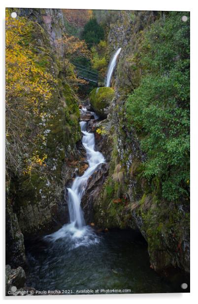 Moutain forest waterfall Acrylic by Paulo Rocha