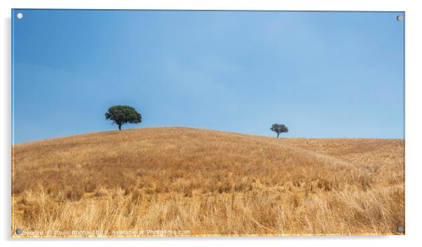 Alentejo countryside landscape, Portugal Acrylic by Paulo Rocha