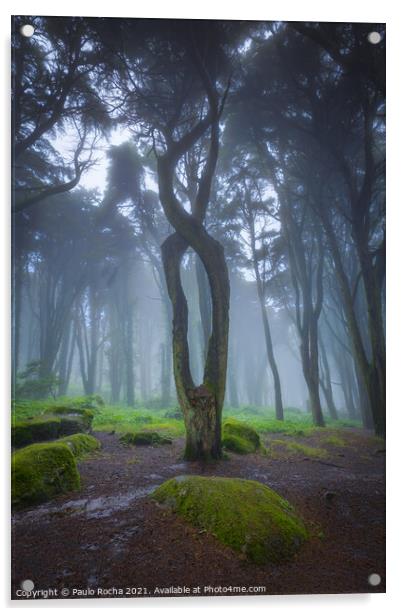 Rainy and foggy forest Acrylic by Paulo Rocha