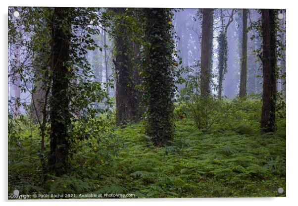 Woodland scenery with fog Acrylic by Paulo Rocha