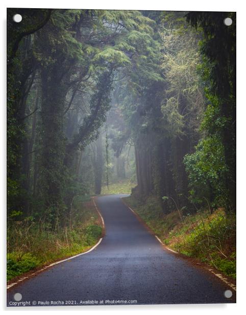 Foggy road in Sintra mountain forest Acrylic by Paulo Rocha