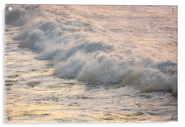Ocean wave close up Acrylic by Paulo Rocha