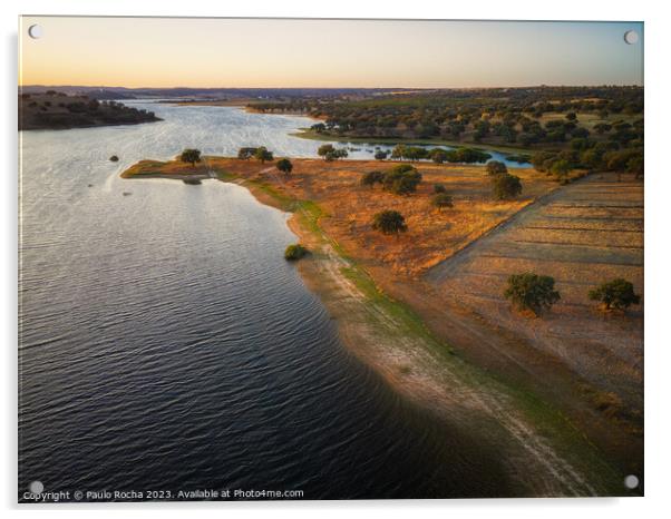 Cork oak forest by the lake at sunset - Alentejo, Portugal Acrylic by Paulo Rocha