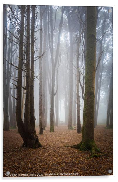 Forest with fog in Sintra Acrylic by Paulo Rocha