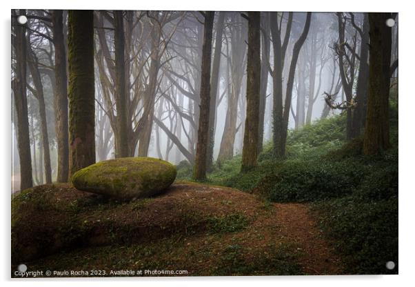 Foggy forest path in Sintra mountain, Portugal Acrylic by Paulo Rocha