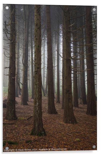 Forest with fog in Sintra Acrylic by Paulo Rocha