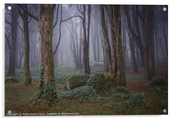 Misty forest with mossy rocks and trees Acrylic by Paulo Rocha