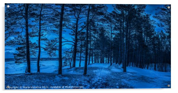 Dark night in pine forest near sea coast Acrylic by Maria Vonotna