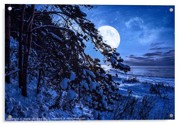 Winter night Acrylic by Maria Vonotna