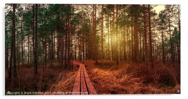 Sunset in coniferous forest with pine trees and wooden path in a Acrylic by Maria Vonotna