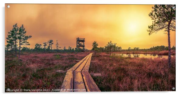 Sunset over bog with observation tower and pathway Acrylic by Maria Vonotna
