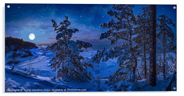 Snowy Baltic sea coast with fir trees in winter ni Acrylic by Maria Vonotna