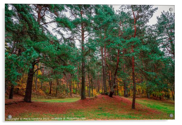 Mixed forest with coniferous and deciduous trees i Acrylic by Maria Vonotna
