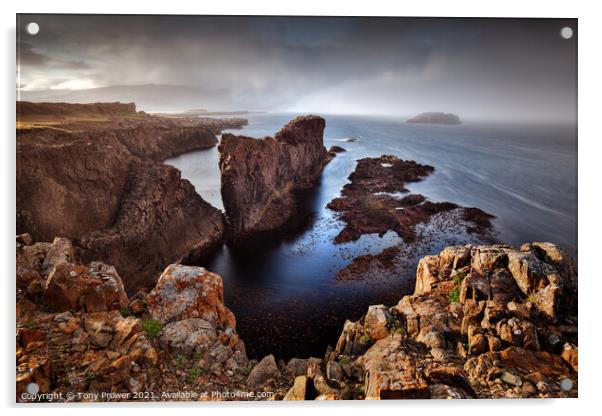 Vattarnes Coastline Acrylic by Tony Prower