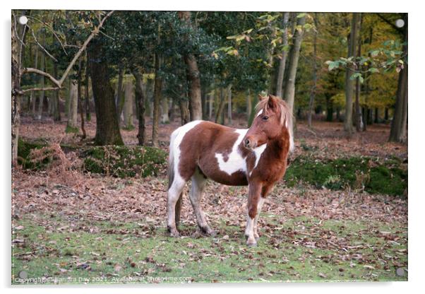  Horse in the New Forest  Acrylic by Sandra Day