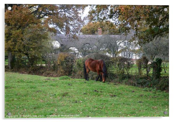 Horse and Thatch. New Forest.  Acrylic by Sandra Day