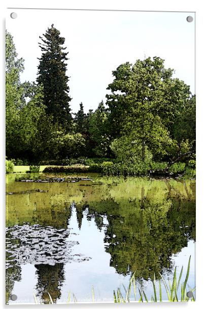 Longstock Park Water Garden 02 Acrylic by Sandra Day