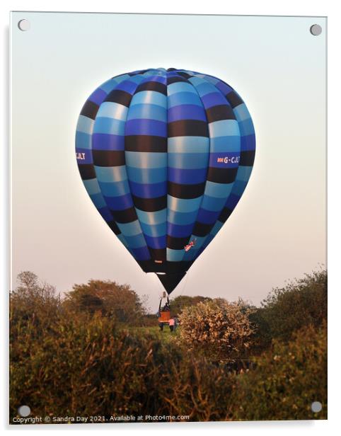 Multi Blue Hot Air Balloon Landing  Acrylic by Sandra Day