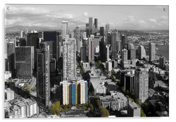 Seattle Skyline   Acrylic by Sandra Day