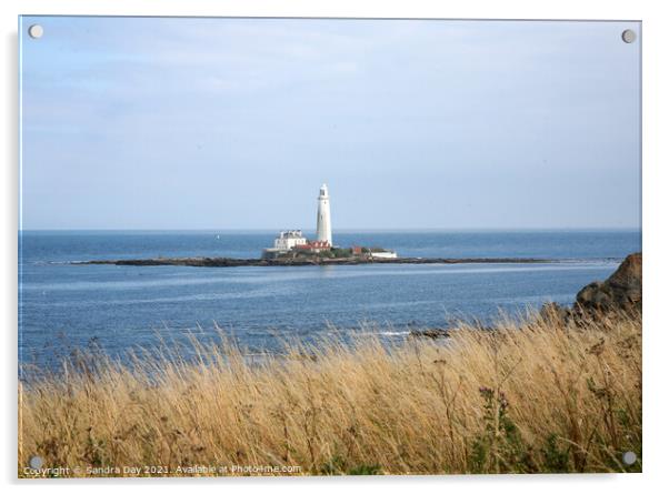 St Mary's Lighthouse Acrylic by Sandra Day