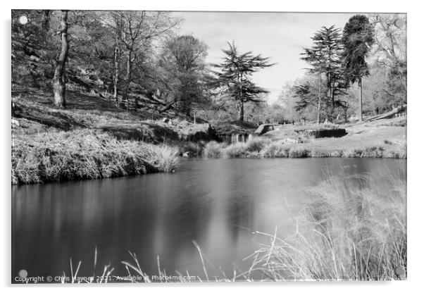 Bradgate Park Woodland and Water in Black and White Acrylic by Chris Haynes