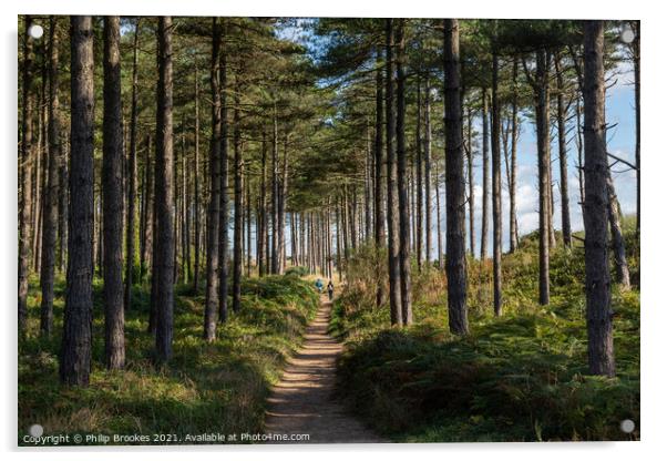 Newborough Forest Acrylic by Philip Brookes