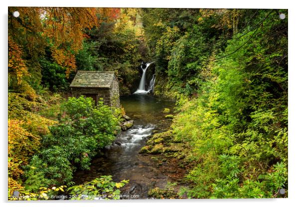 Rydal Falls in Autumn Acrylic by Philip Brookes