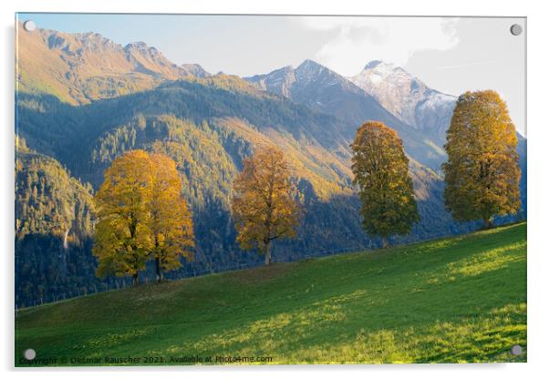 Four Trees with Golden Foliage in a Stunning Alpine Landscape Acrylic by Dietmar Rauscher